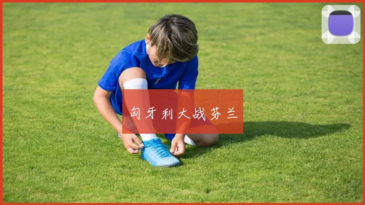 匈牙利大战芬兰